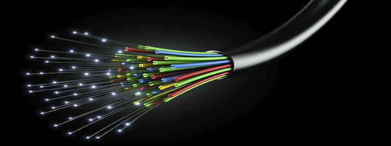 fiber blog